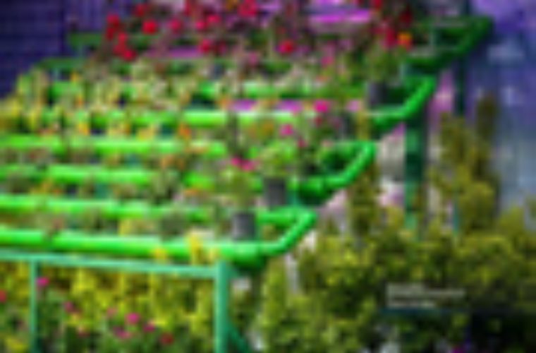 رونمایی از دستاوردهای جدید سازمان پارک‌ها در نمایشگاه مدیریت شهری