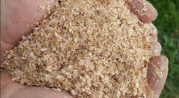 تامین و توزیع ۴۵ تن خوراک دام در تیرماه تامین و توزیع ۴۵ تن خوراک دام در تیرماه