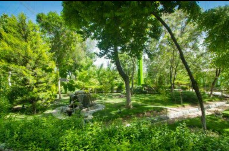 هیچ درختی در اصفهان بدون بررسی و نظر کارشناسی قطع نمیشود هیچ درختی در اصفهان بدون بررسی و نظر کارشناسی قطع نمیشود