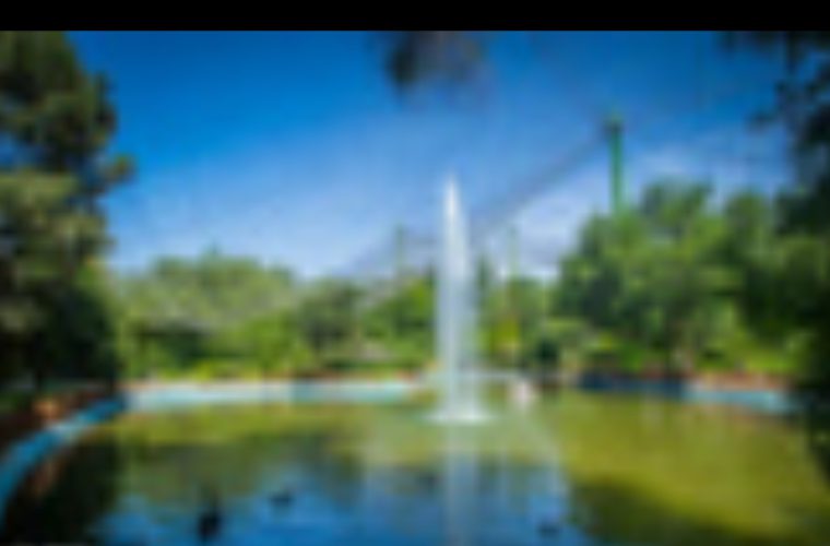 اعلام فراخوان پروژه‌های جدید منطقه ناژوان تا یک ماه آینده