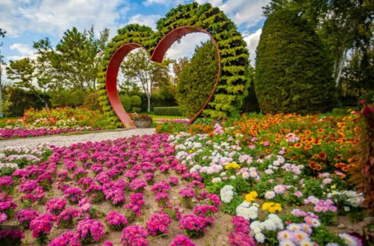 برگزاری «جشنواره گل‌های داوودی» در باغ گل‌ها