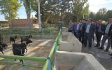 بازدید مدیران تشکلهای دامپروری استان از ایستگاه تحقیقات کشاورزی و دامپروری گلپایگان بازدید مدیران تشکلهای دامپروری استان از ایستگاه تحقیقات کشاورزی و دامپروری گلپایگان