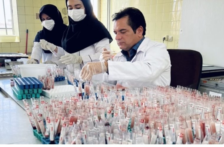 تست سل و بروسلوز ۲۶ هزار رأس دام سنگین در شهرستان نجف آباد