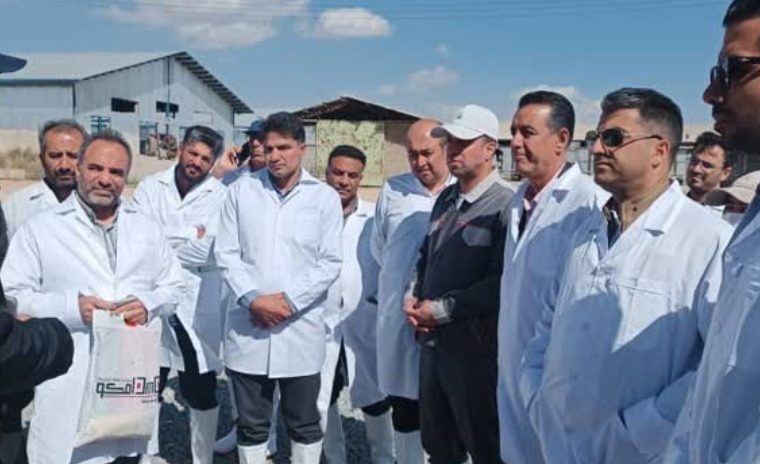 بازدید از مراحل سپتینگ ،استخر اولیه و تصفیه خانه شرکت شیر و گوشت زاگرس شهر کرد