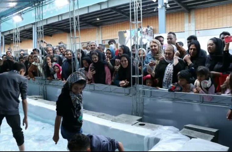 استقبال چشمگیر شهروندان از جشنواره فروش و آموزش طبخ ماهی