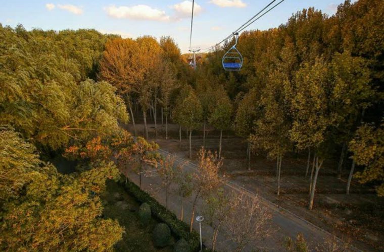 مقابله با چوب‌بری‌های غیرمجاز در ناژوان طی همکاری با نهادهای انتظامی