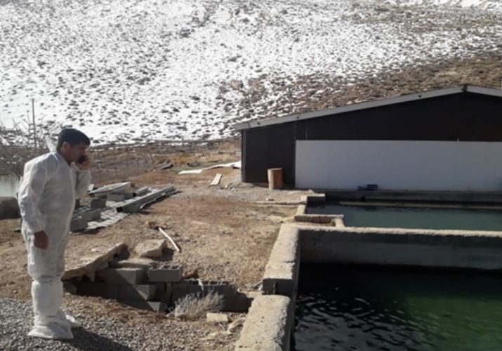 آغاز طرح ملی پایش و مراقبت از بیماریهای ویروسی ماهیان سردآبی در سطح استان اصفهان آغاز طرح ملی پایش و مراقبت از بیماریهای ویروسی ماهیان سردآبی در سطح استان اصفهان