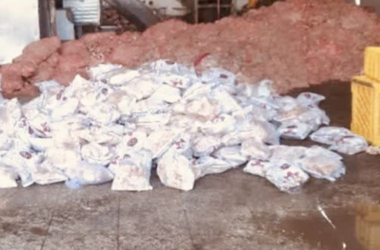 کشف، توقیف و معدوم سازی بیش از ۴ هزار و ۲۰۰ کیلوگرم گوشت غیر قابل مصرف در شهرستان نجف آباد کشف، توقیف و معدوم سازی بیش از ۴ هزار و ۲۰۰ کیلوگرم گوشت غیر قابل مصرف در شهرستان نجف آباد