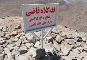 استاد فقیهی ادامه داد