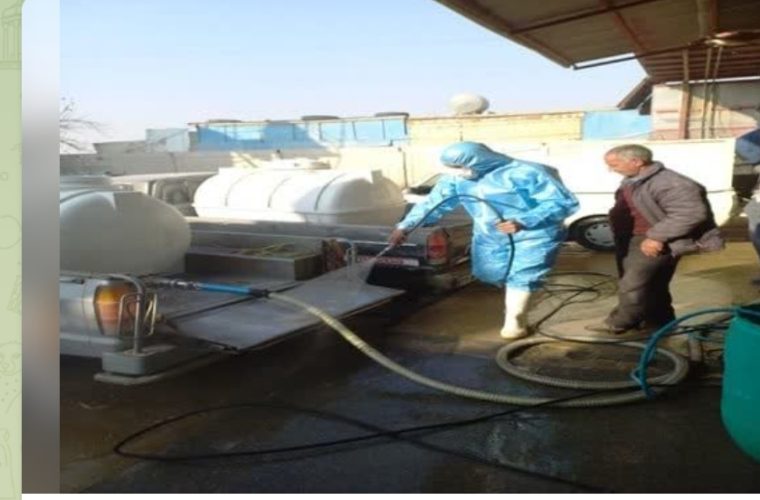 ضدعفونی بیش از ۳۳ هزار متر مربع میادین دام، مراکز جمع آوری شیر در شهرستان فلاورجان