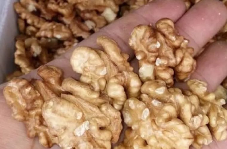 ضبط و جریمه تاوان حمل گردو قاچاق