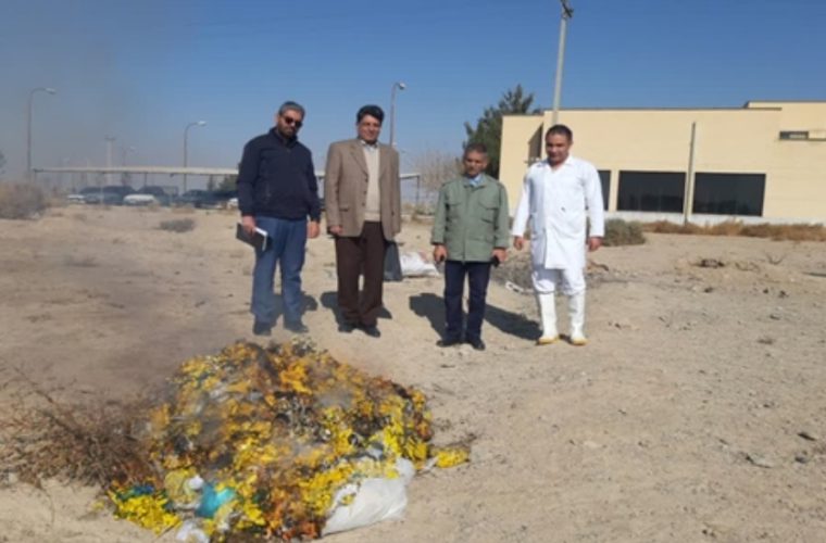 معدوم سازی بیش از ۴۸ هزار عدد پلاک فک شده از دام های کشتار شده در شهرستان اصفهان