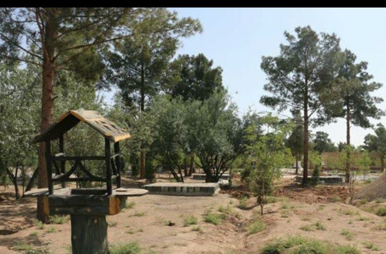 کاشت ۳۰۰۰ درخت در جنگل شرق اصفهان تا پایان سال جاری