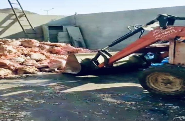 کشف، توقیف و معدوم سازی بیش از یک هزار کیلوگرم گوشت سفید غیرقابل مصرف در شهرستان نجف آباد کشف، توقیف و معدوم سازی بیش از یک هزار کیلوگرم گوشت سفید غیرقابل مصرف در شهرستان نجف آباد