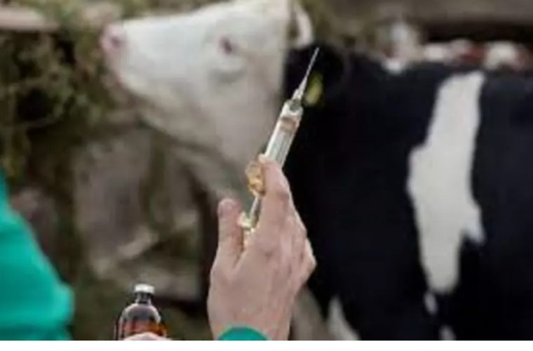 جریمه نگهداری واکسن دامی در منزل مسکونی