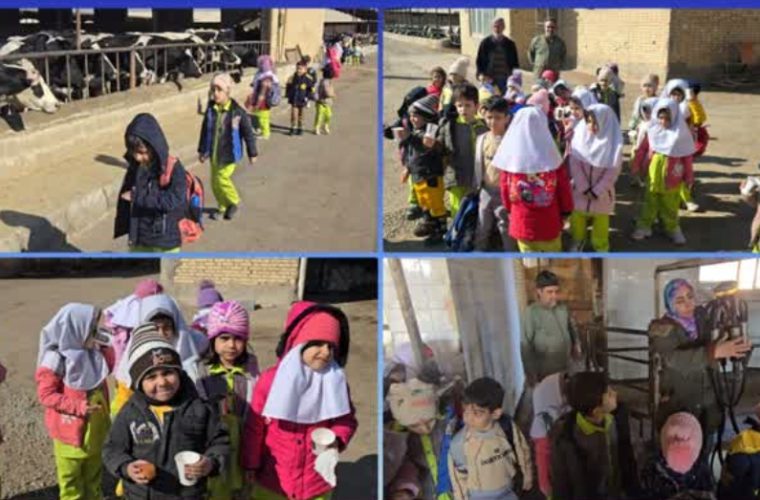 فرهنگ_سازی تولید_شیر_سالم ازمزرعه تالیوان کودک فرهنگ_سازی تولید_شیر_سالم ازمزرعه تالیوان کودک