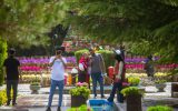 اختصاص ۶۴ میلیارد تومان اعتبار برای کاشت گلهای فصلی در اصفهان اختصاص ۶۴ میلیارد تومان اعتبار برای کاشت گلهای فصلی در اصفهان