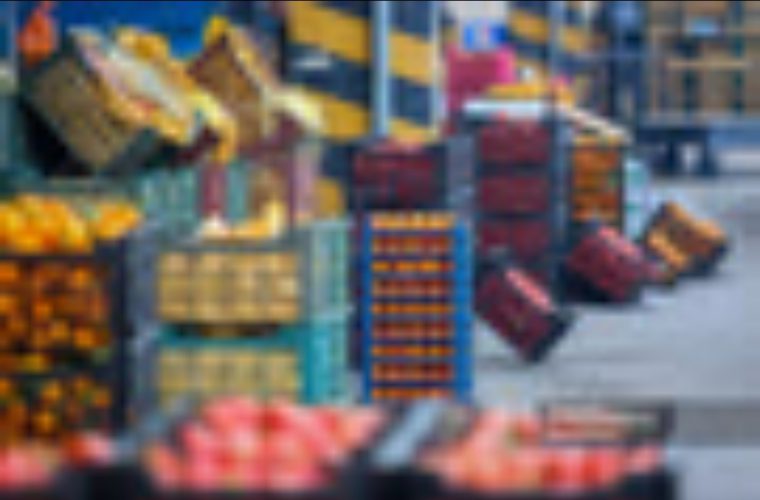 سوله‌های سورت و بسته‌بندی و سردخانه میدان میوه و تره‌بار اصفهان در آستانه افتتاح