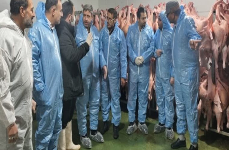 بازدید فرماندار و هیئت همراه از کشتار گاه صنعتی طیور در شهرستان تیران و کرون
