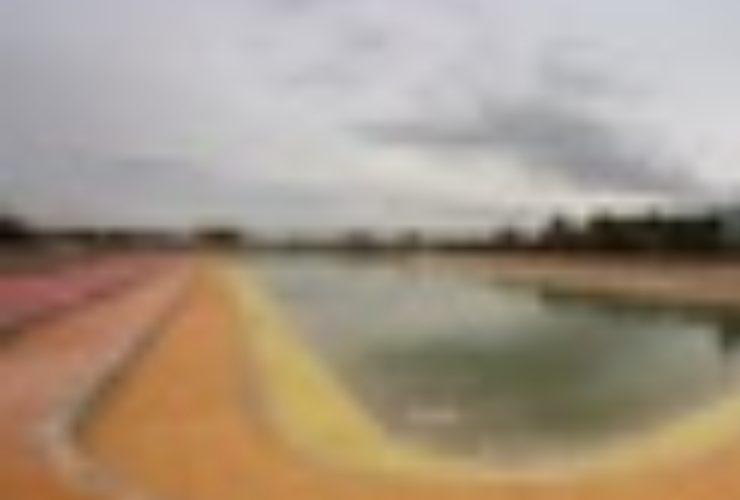 ستاد باغ فدک به استقبال مسافران نوروزی می رود