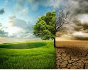 آلودگی بخش فیزکی