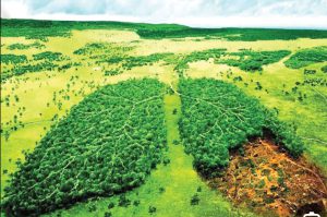 آلودگی شیمایی