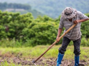 این کار باعث