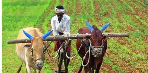 ولی در کشورهای دیگر 