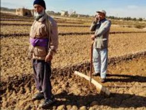 75درصد کره زمین 