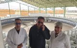 بازدید از شرکت دامداری فضیل بازدید از شرکت دامداری فضیل