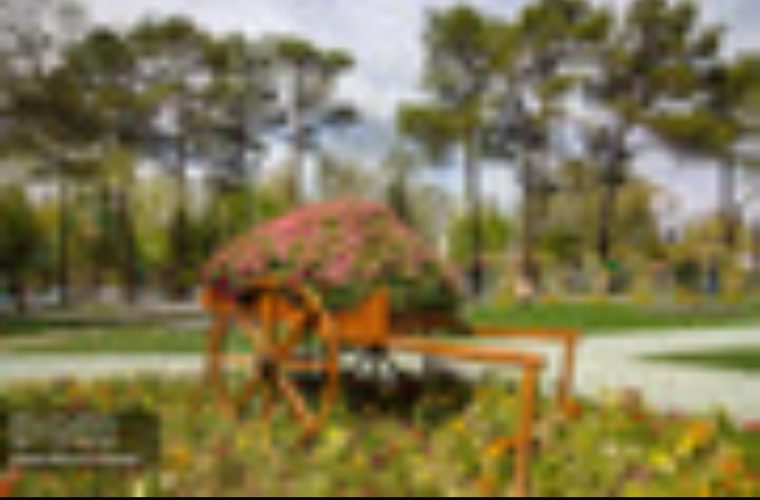 کاشت ۱۵۷ هزار اصله درخت طی سال جاری در اصفهان کاشت ۱۵۷ هزار اصله درخت طی سال جاری در اصفهان