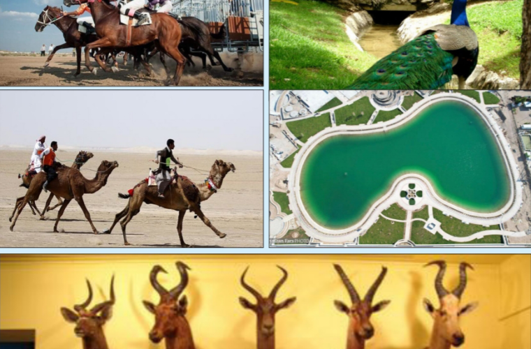 جاذبه های تفریحی و گردشگری شهر جدید شیرین شهر جاذبه های تفریحی و گردشگری شهر جدید شیرین شهر