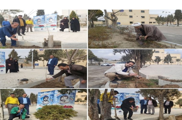 کاشت نهال در مخابرات خمینی شهر