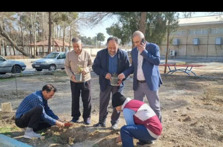 کوهنوردان مخابراتی درخت کاشتن