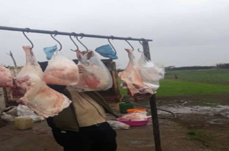 مرغهای تاریخ گذشته به سبد خانوار نرسید مرغهای تاریخ گذشته به سبد خانوار نرسید