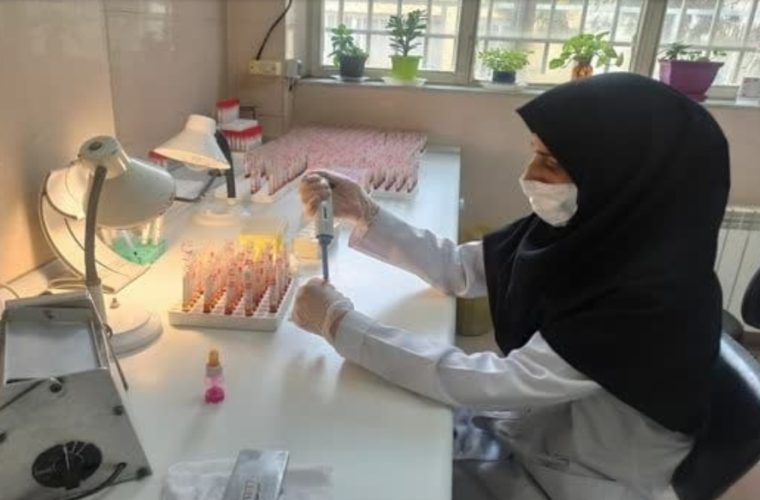 نمونه گیری سرمی بیماری بروسلوز در بیش از ۱۱۳ هزار راس گاو در گاوداری های شهرستان اصفهان