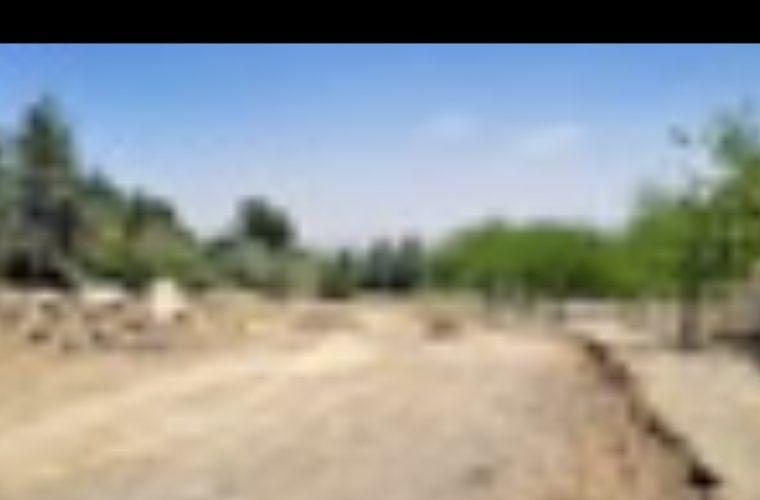 آغاز عملیات احداث زمین ورزشی روباز در پارک کوهستانی صفه آغاز عملیات احداث زمین ورزشی روباز در پارک کوهستانی صفه