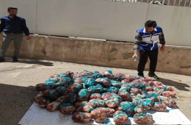 توقیف و معدوم سازی ۴۰۰ کیلوگرم گوشت فاقد شرایط بهداشتی مصرف در شهرستان شهرضا