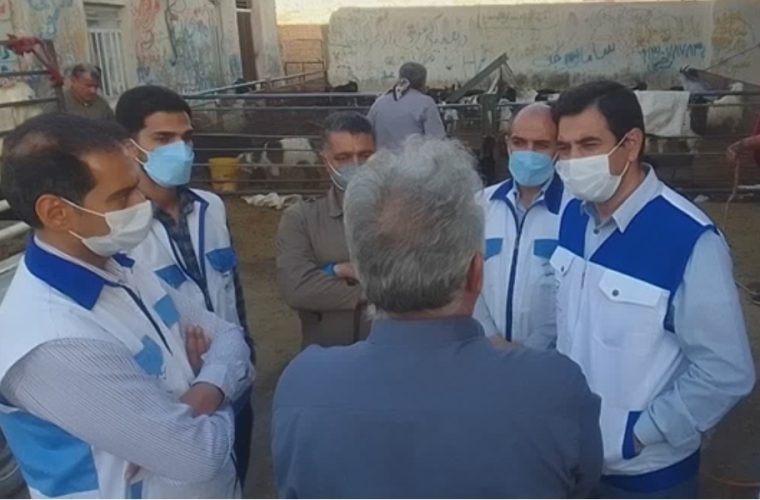 نظارت بر ورود و خروج دام در میدان دام شهرستان خمینی شهر