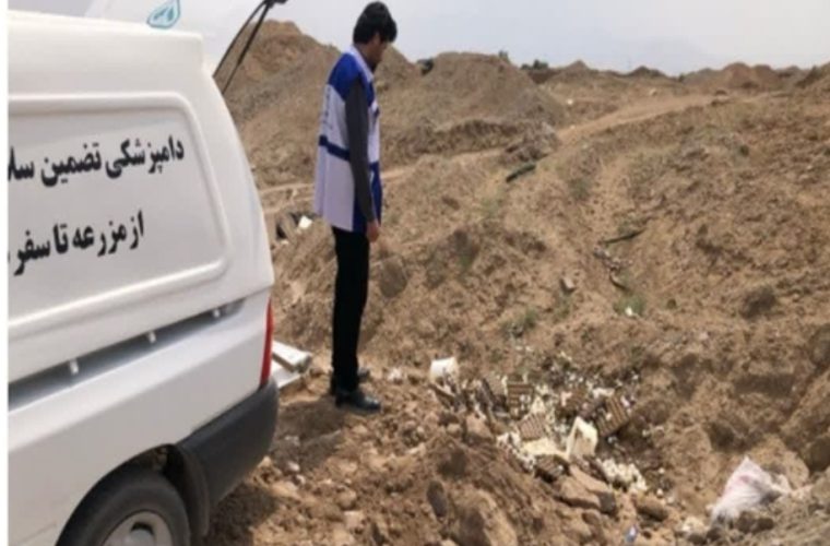 معدوم سازی بالغ بر ۱۸۰ کیلوگرم تخم مرغ با شرایط ارگانولپتیک نامناسب در شهرستان آران و بیدگل