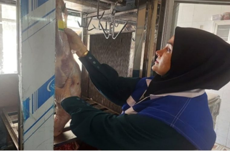 افزایش ۴۰ درصدی کشتارمجاز در شهرستان آران و بیدگل افزایش ۴۰ درصدی کشتارمجاز در شهرستان آران و بیدگل