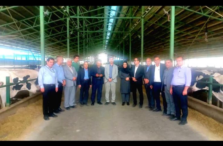 بازدید هیأت مدیره اتحادیه دامداران استان اصفهان و صندوق توسعه بخش کشاورزی از شرکت دشت کیمیا