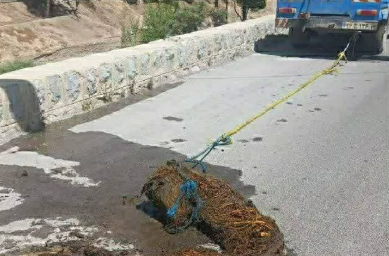 پاکسازی شبکه جمع‌آوری فاضلاب شهرضا