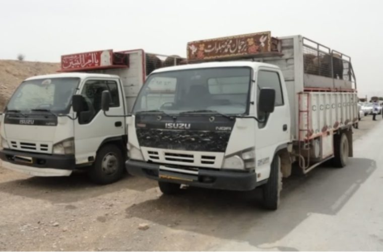 توقیف خودروی حمل دام زنده فاقد مجوز حمل بهداشتی توسط شبکه دامپزشکی شهرستان لنجان توقیف خودروی حمل دام زنده فاقد مجوز حمل بهداشتی توسط شبکه دامپزشکی شهرستان لنجان