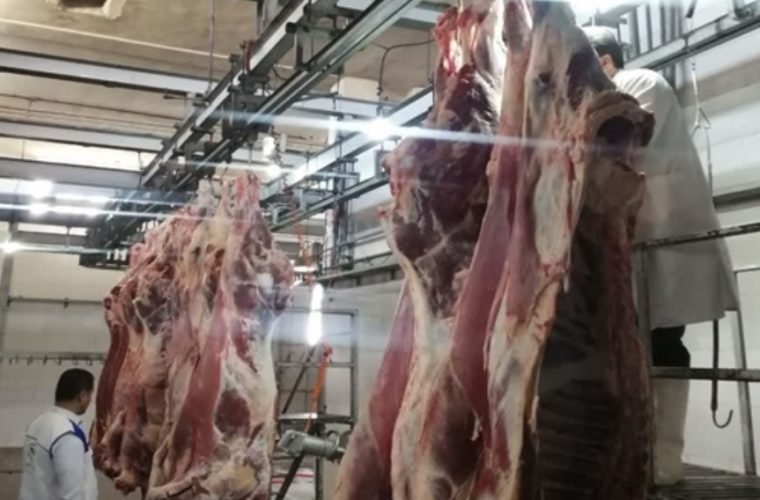 اجرای عملیات نوسازی بهسازی و احداث تاسیسات نوین در کشتارگاه دام شهرستان لنجان