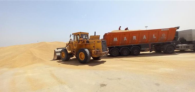 رئیس تعاون روستایی شهرستان اهواز خبر داد: خرید بیش از ۵۵ هزار تن گندم از گندمکاران شهرستان اهواز رئیس تعاون روستایی شهرستان اهواز خبر داد: خرید بیش از ۵۵ هزار تن گندم از گندمکاران شهرستان اهواز