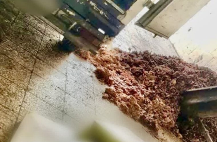 کشف و معدوم سازی بیش از ۴۰۰ کیلوگرم قطعات مرغ غیر قابل مصرف در شهرستان نجف آباد کشف و معدوم سازی بیش از ۴۰۰ کیلوگرم قطعات مرغ غیر قابل مصرف در شهرستان نجف آباد