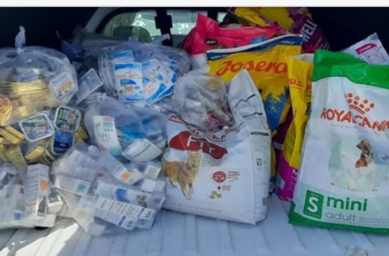 توقیف ۵۰ قلم خوراک و افزودنی غیر مجاز در مراکز عرضه خوراک و ملزومات حیوانات خانگی شهرستان اصفهان توقیف ۵۰ قلم خوراک و افزودنی غیر مجاز در مراکز عرضه خوراک و ملزومات حیوانات خانگی شهرستان اصفهان