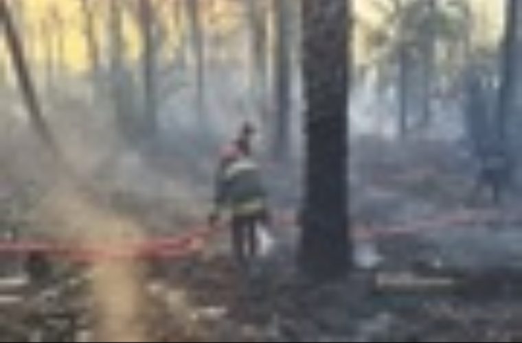 مهار آتشسوزی گسترده در کربلا توسط آتشنشانان اصفهانی مهار آتشسوزی گسترده در کربلا توسط آتشنشانان اصفهانی