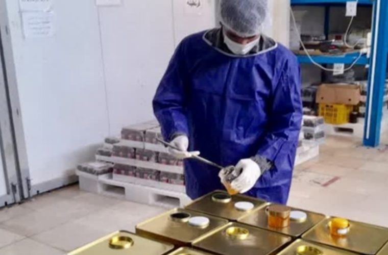 مونه برداری از ۸۰ تن عسل صادراتی در شهرستان نجف آباد مونه برداری از ۸۰ تن عسل صادراتی در شهرستان نجف آباد